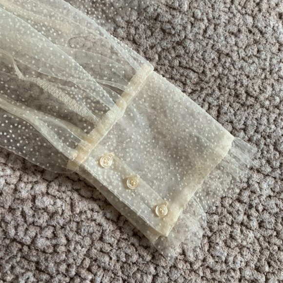 ZARA Tulle Ruffle Mesh Blouse - Picture 5 of 5